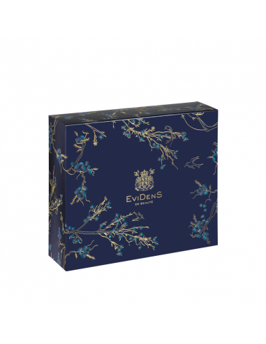 Rutina Descubrimiento EviDenS de Beauté