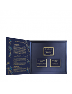 Rutina Multimasking EviDenS...