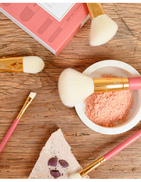 Set de brochas profesionales colección Terracota Bachca