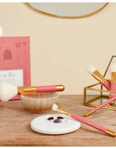 Set de brochas profesionales...