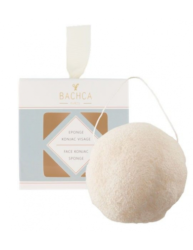 Esponja de Konjac Bachca