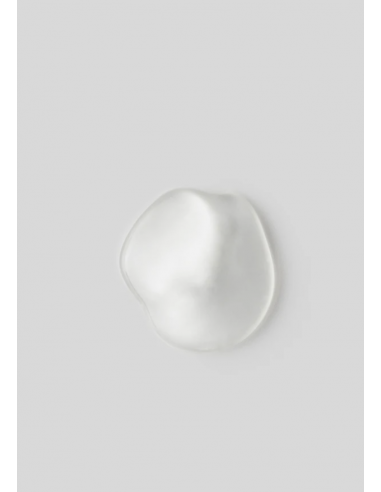 Champú Thickening 250ml SACHAJUAN