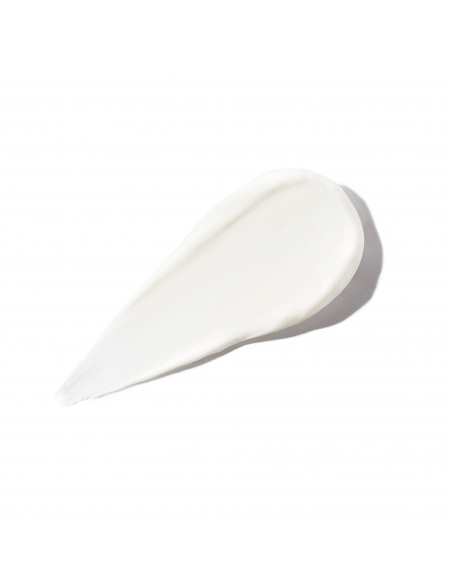 Mascarilla Protectora del color 200ml Christophe Robin
