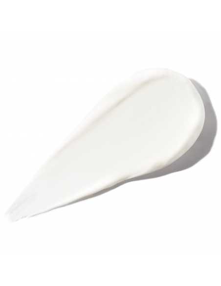 Mascarilla Protectora del color 1000ml Christophe Robin