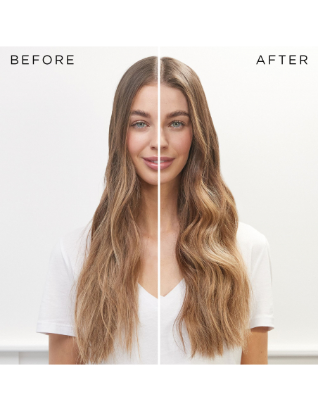 Mascarilla Protectora del color 1000ml Christophe Robin