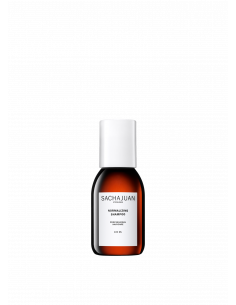 Champú Normalizing 100ml...