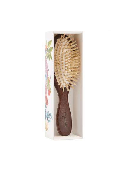Cepillo de Viaje para el Cabello Christophe Robin
