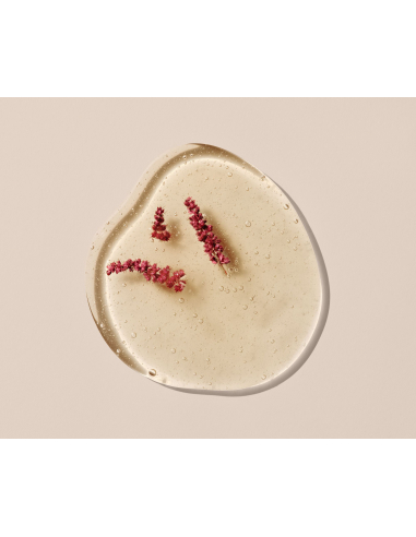 Champú Fortificante 250ml Champú Fortificante 250ml