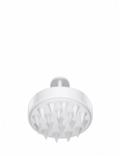 Cepillo Scalp Brush SACHAJUAN 2